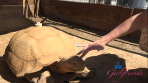 Nicole Nichols Temecula Part 3